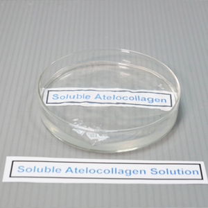 Solución de atelocolágeno soluble