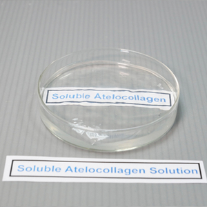 Soluble Atelocollagen Solution可溶性去端肽胶原蛋白.jpg