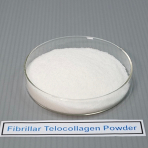 Polvo de telocolágeno fibrilar