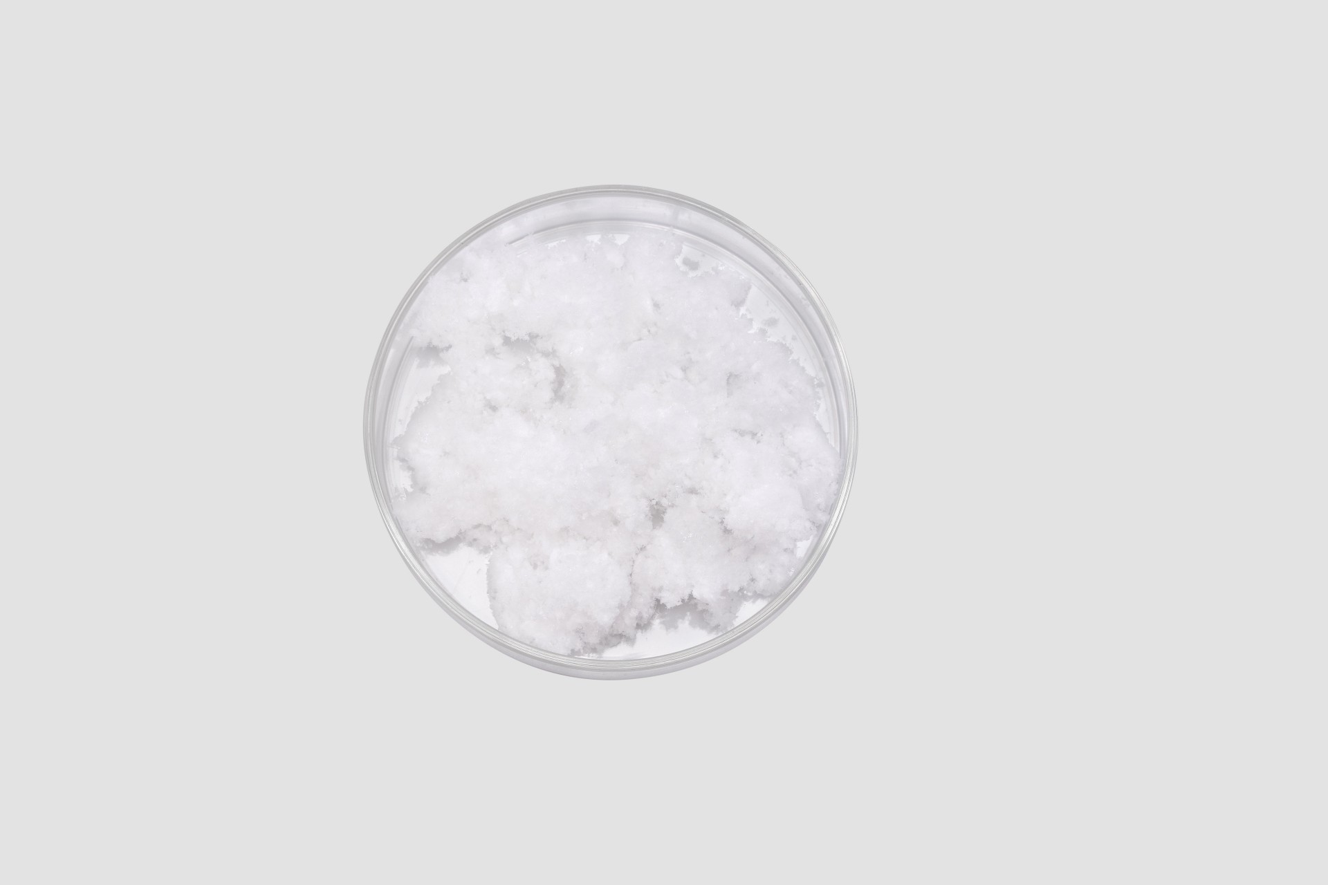 Polvo de atelocol&aacute;geno