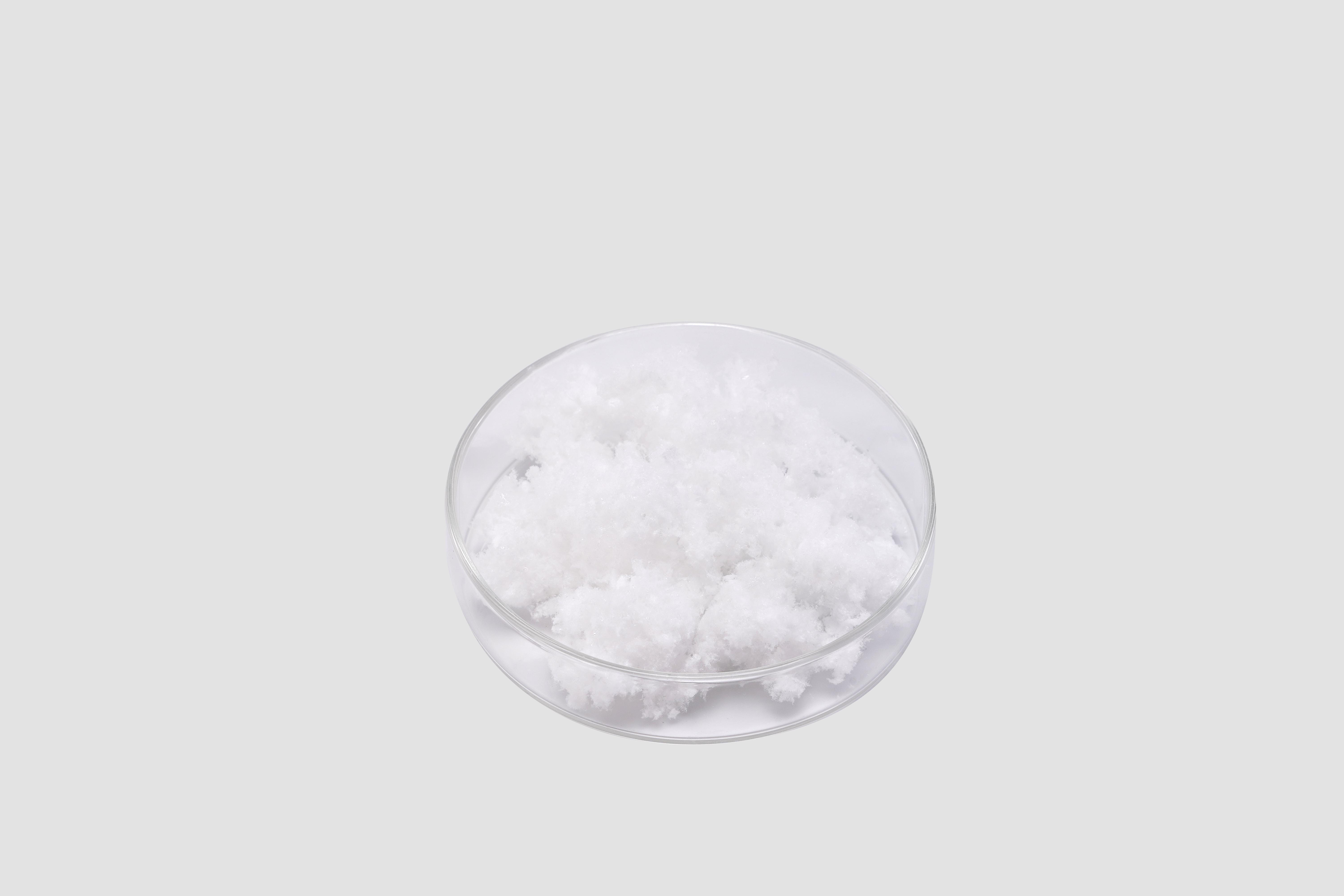 Preparaci&oacute;n de esponjas de atelocol&aacute;geno para liberaci&oacute;n sostenida
